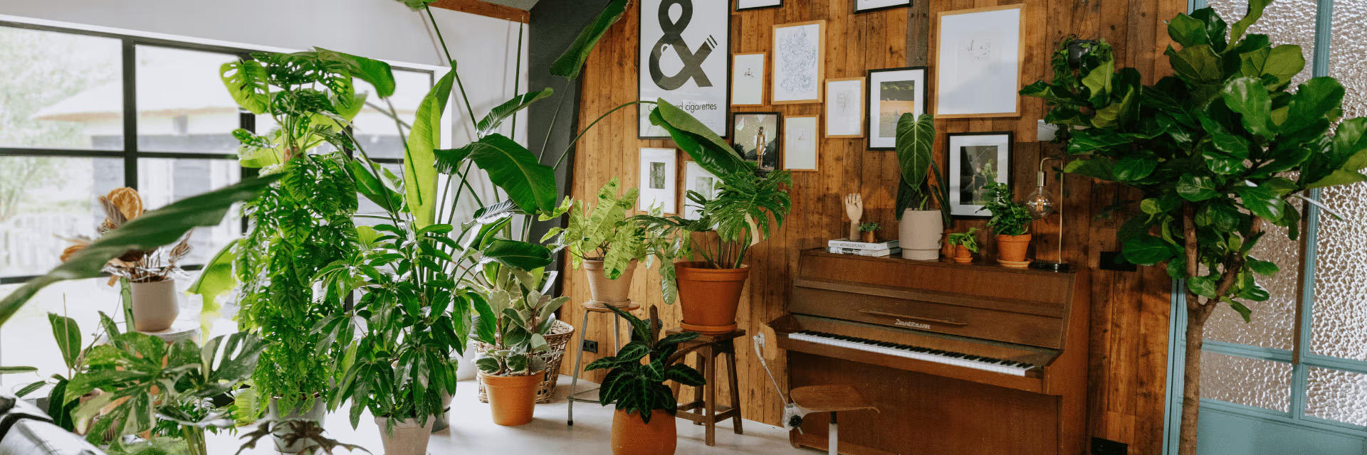 Buitentuinwinkel -Buitentuinwinkel 1