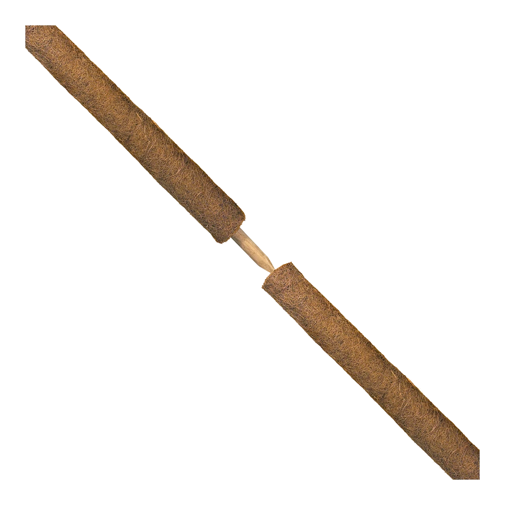 Nature - Kokosplantstok h120cm u00f860mm Nature - Kokosplantstok H120cm U00f860mm -Buitentuinwinkel nature kokosplantstok h120cm o60mm 2 2