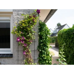 Nature - Metalen Klimrek Geplastificeerd Grijs H145x57cm -Buitentuinwinkel nature metalen klimrek geplastificeerd grijs h145x57cm 3 2