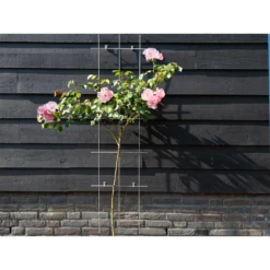 Nature - Metalen Klimrek Geplastificeerd Groen H145x42,5cm -Buitentuinwinkel nature metalen klimrek geplastificeerd groen h145x42 5cm 3 2