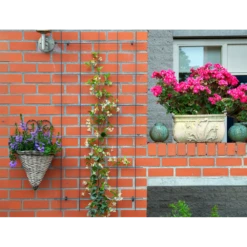 Nature - Metalen Klimrek Geplastificeerd Groen H145x72,5cm -Buitentuinwinkel nature metalen klimrek geplastificeerd groen h145x72 5cm 3 2