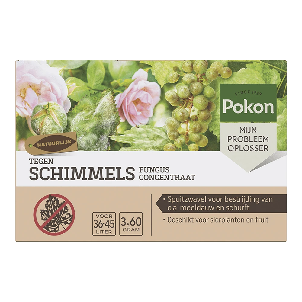 Pokon Tegen Schimmels Fungus Concentraat 180gr - Schimmels Pokon Tegen Schimmels Fungus Concentraat 180gr - Schimmels -Buitentuinwinkel pokon tegen schimmels fungus concentraat 180gr schimmels 1 1