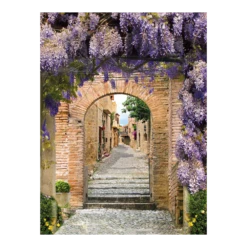 Tuinposter Doorkijk Bl. Regen Stad - 60x80cm