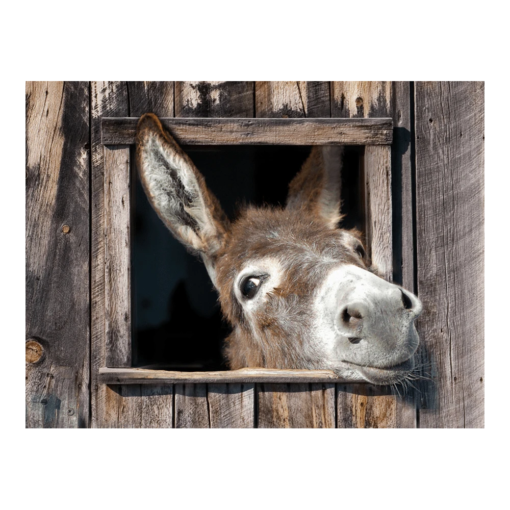 Tuinposter Ezel - 80x60cm Tuinposter Ezel - 80x60cm -Buitentuinwinkel