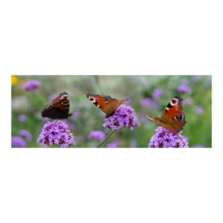 Tuinposter Vlinders - 110x45cm