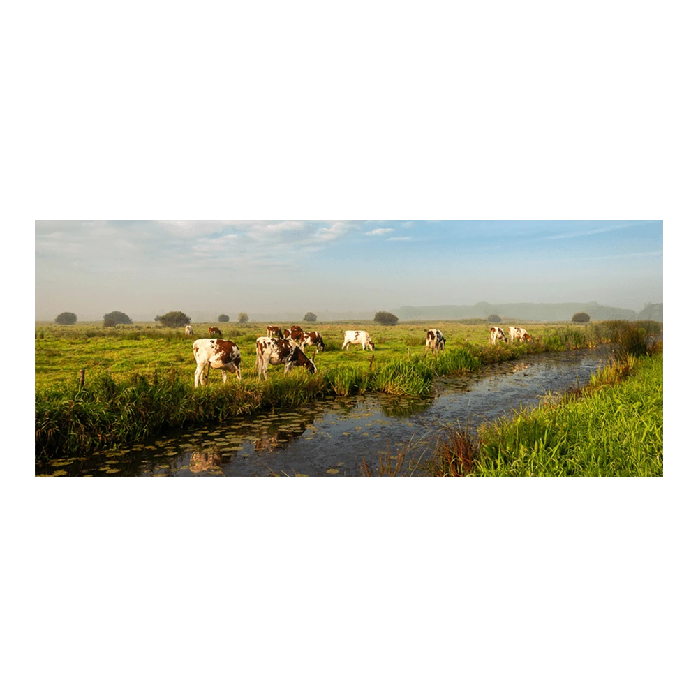 Tuinposter Weiland met koeien - 110x45cm Tuinposter Weiland Met Koeien - 110x45cm -Buitentuinwinkel